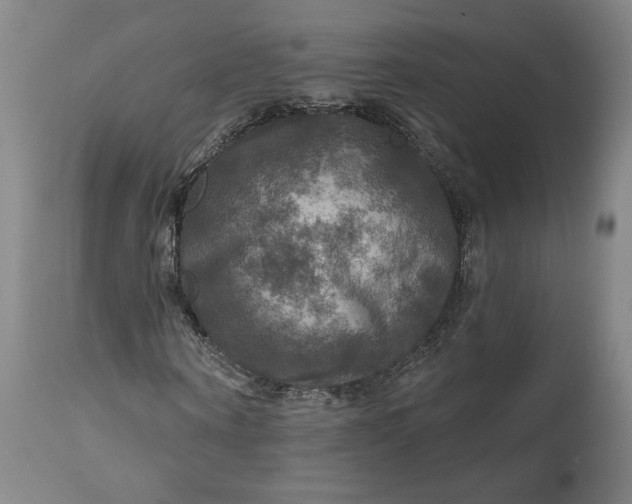 X0000111200866200907151411