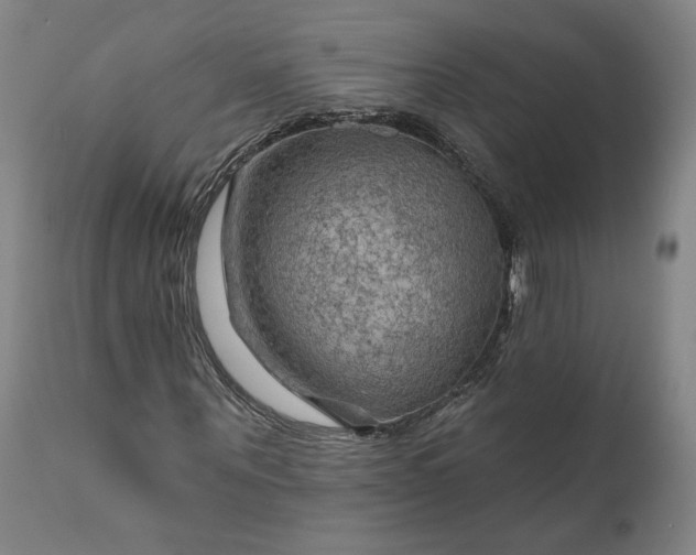 X0000111200867200907151411