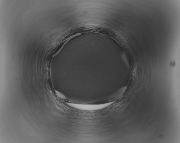 X0000111200868200907151411