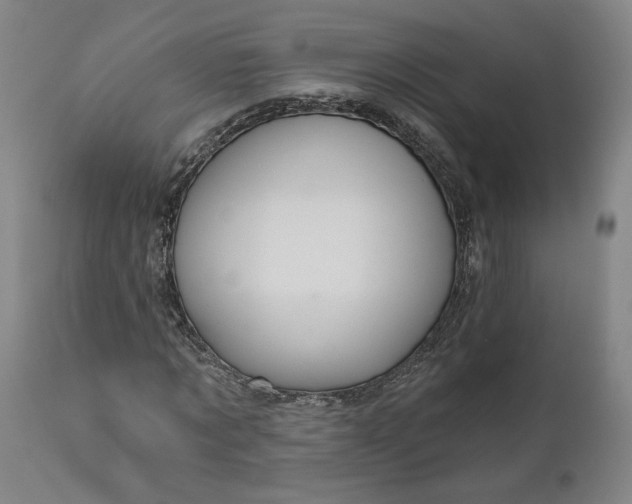 X0000111200869200907151411