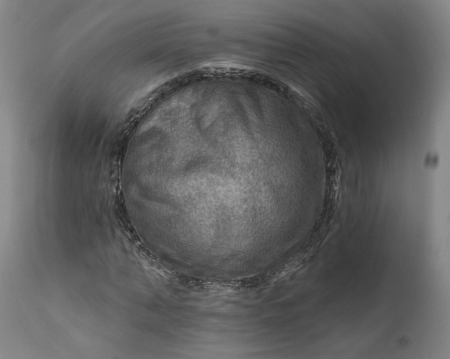 X0000111200870200907151411