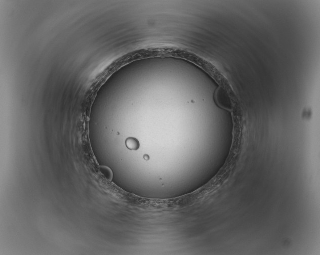 X0000111200871200907151411