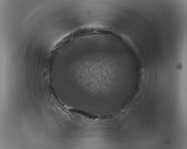 X0000111200872200907151411