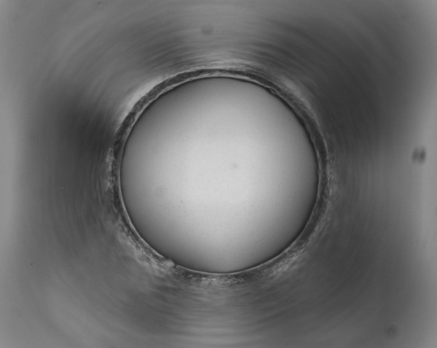 X0000111200875200907151411