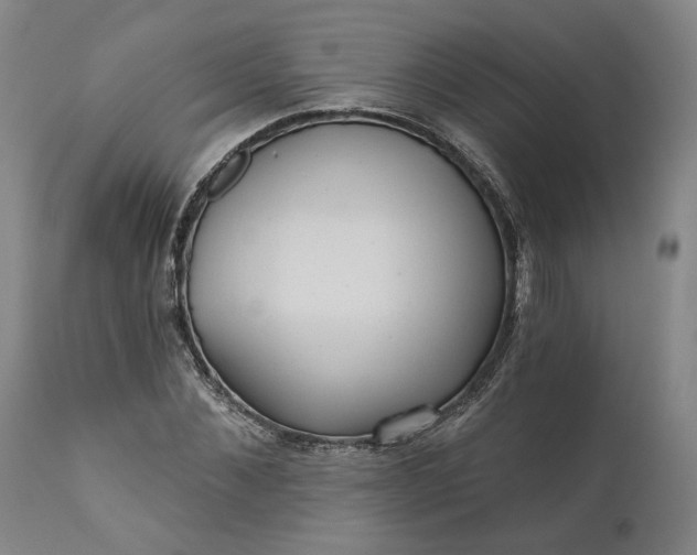 X0000111200876200907151411