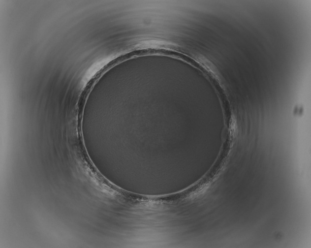 X0000111200877200907151411