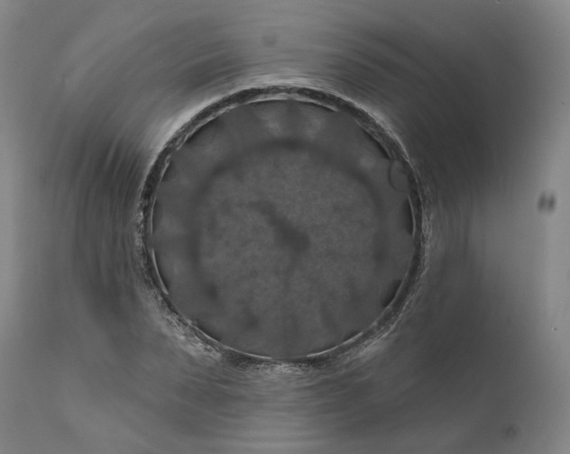 X0000111200879200907151411