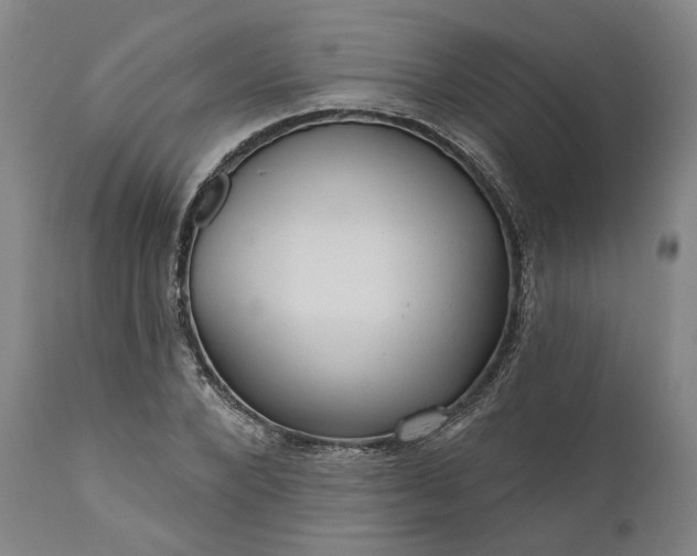 X0000111200880200907151411