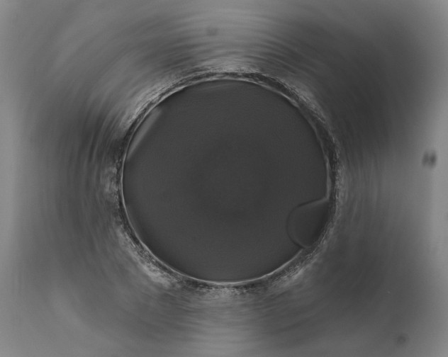 X0000111200881200907151411