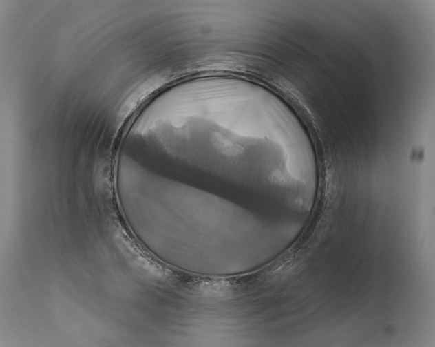 X0000111200882200907151411