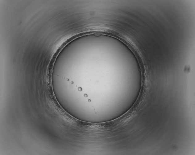 X0000111200883200907151411