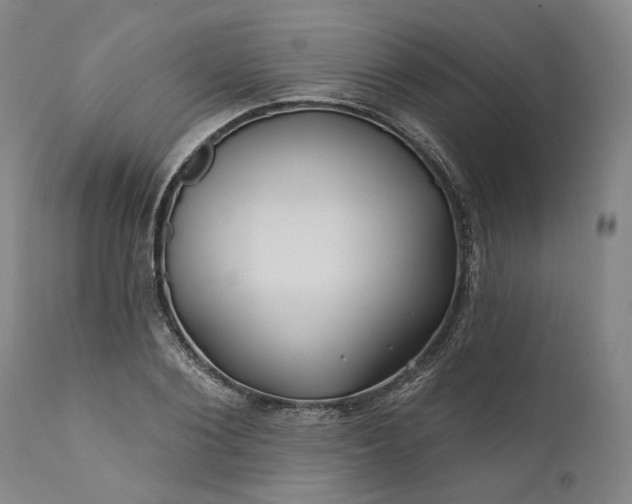 X0000111200884200907151411