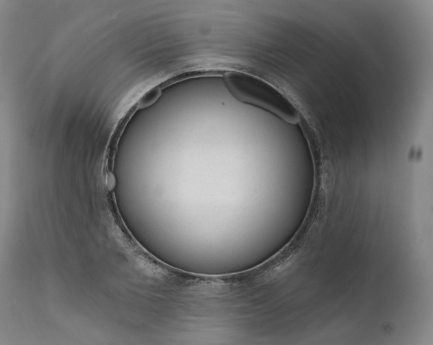 X0000111200885200907151411