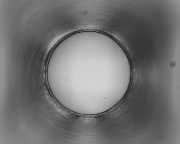 X0000111200886200907151411