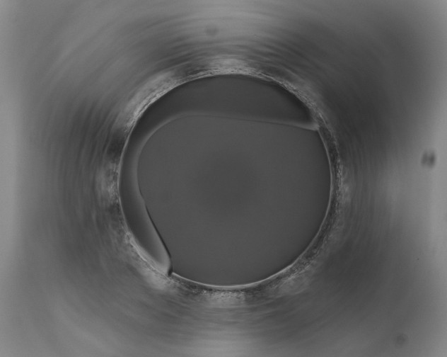 X0000111200889200907151411