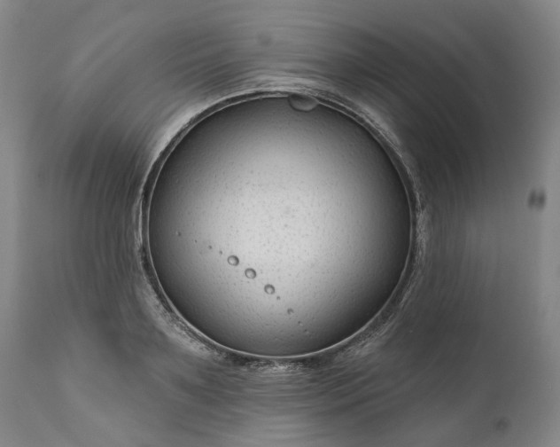 X0000111200891200907151411