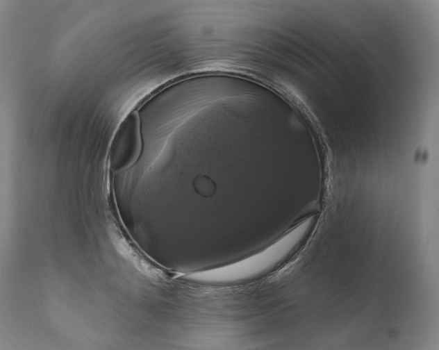 X0000111200892200907151411