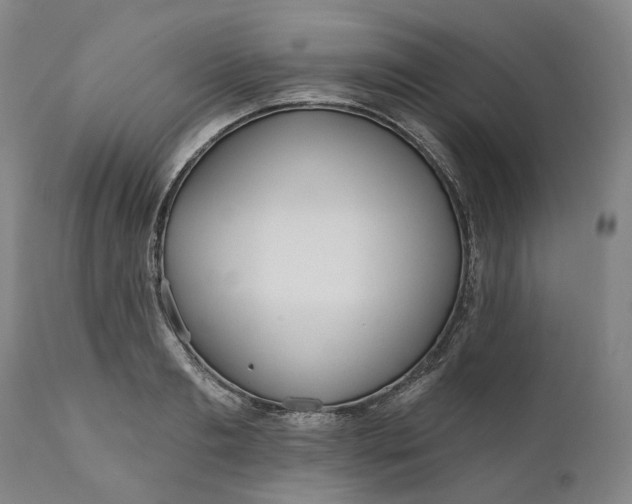 X0000111200893200907151411