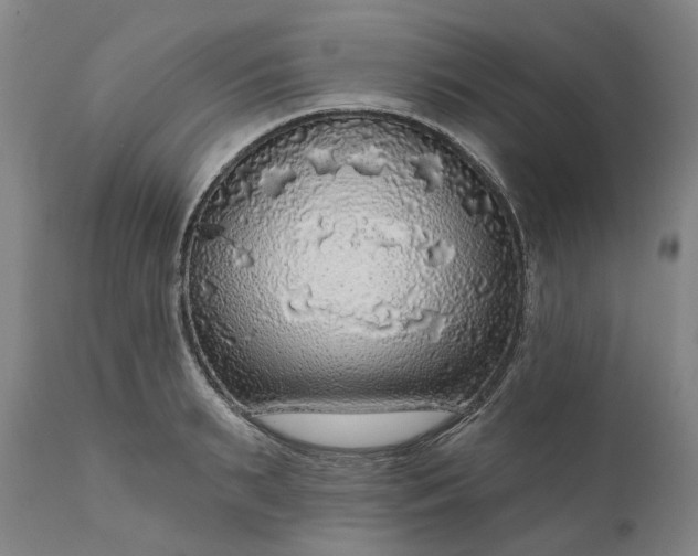 X0000111200895200907151411