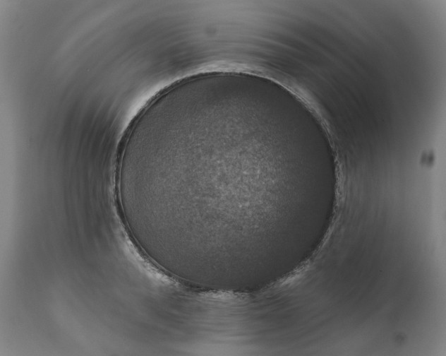 X0000111200896200907151411