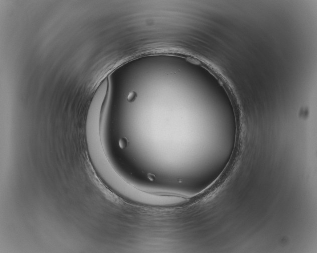 X0000111200897200907151411