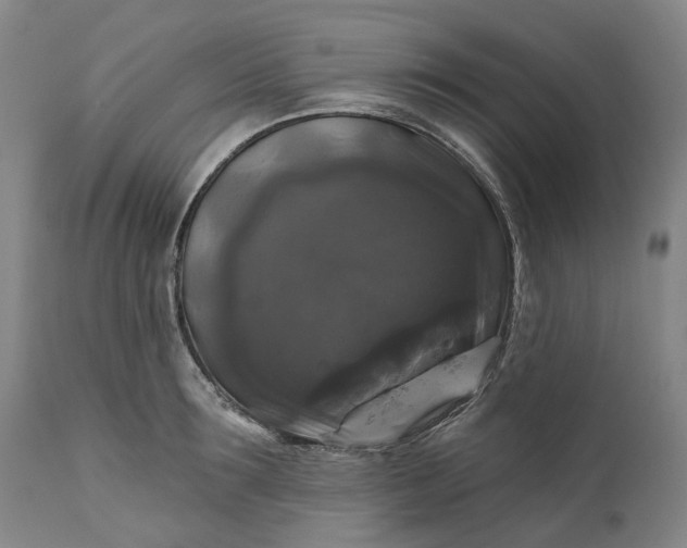 X0000111200899200907151411