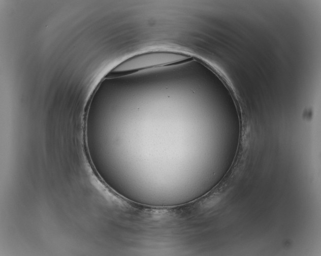 X0000111200903200907151411