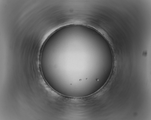 X0000111200904200907151411