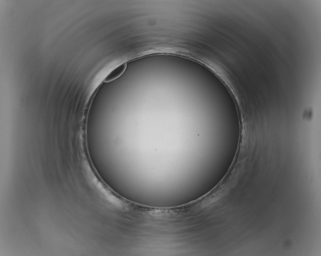 X0000111200906200907151411