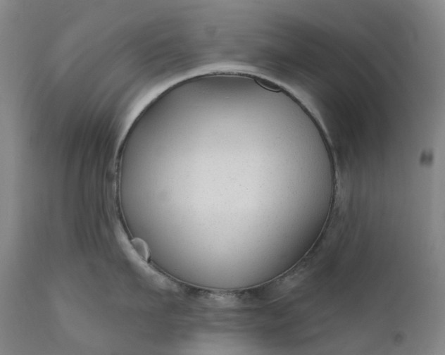 X0000111200911200907151411