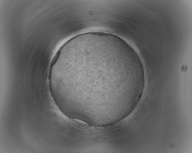 X0000111200912200907151411