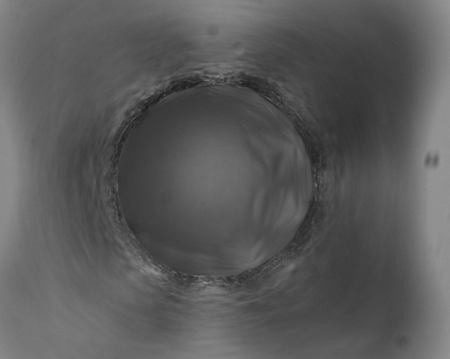 X0000111200913200907151410