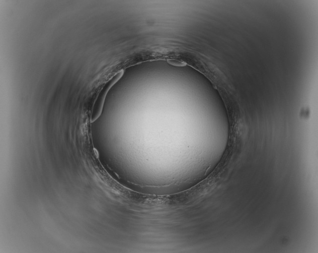 X0000111200914200907151410