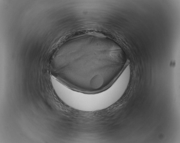 X0000111200916200907151410