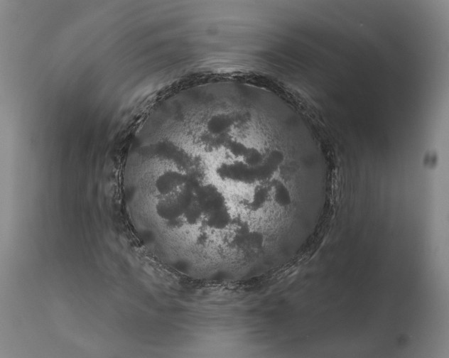 X0000111200917200907151410