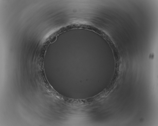 X0000111200919200907151410