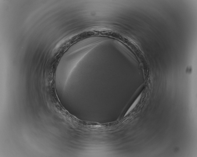 X0000111200920200907151410