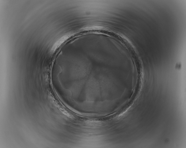 X0000111200921200907151410