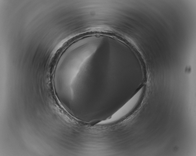 X0000111200923200907151410