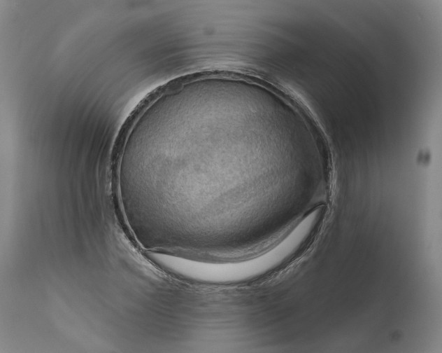 X0000111200924200907151410