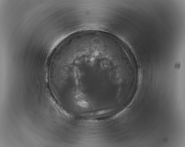 X0000111200925200907151410