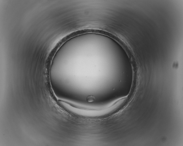 X0000111200926200907151410