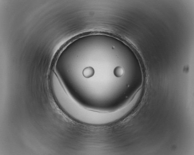 X0000111200928200907151410