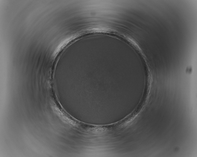 X0000111200930200907151410