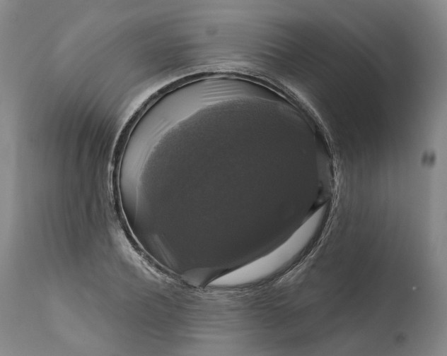 X0000111200932200907151410