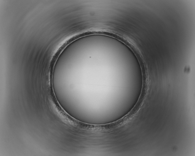 X0000111200934200907151410