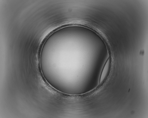 X0000111200936200907151410