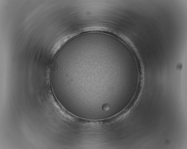 X0000111200937200907151410