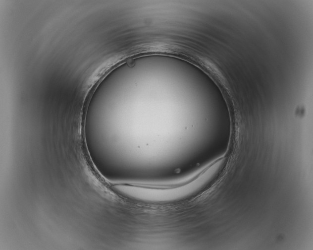 X0000111200938200907151410