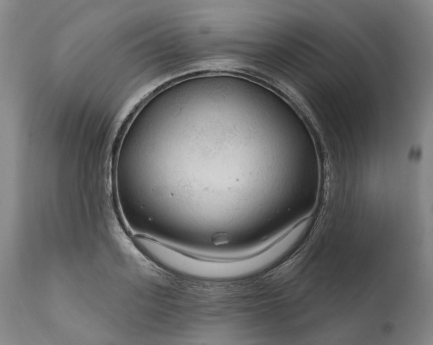 X0000111200939200907151410